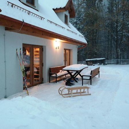 Domek W Gorach Sowich Pieszyce Exterior photo